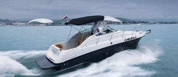 Crownline 250 (25 ft)