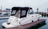 Sea Ray 320