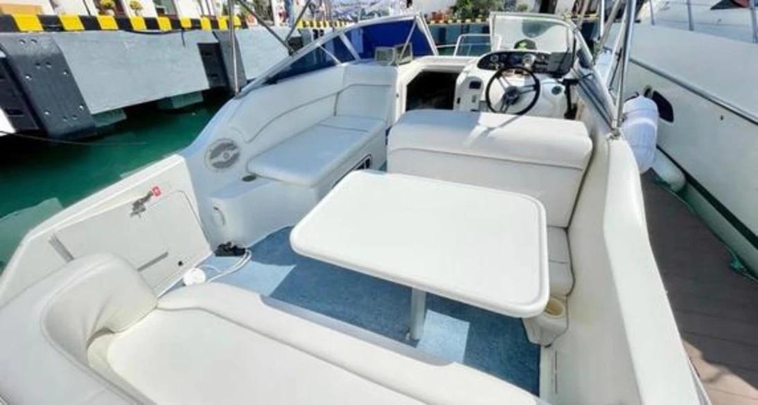 Sea Ray Sundancer 240