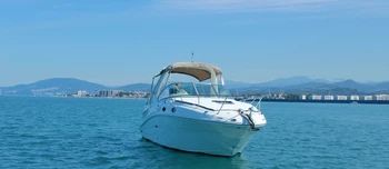 Sea Ray 275 