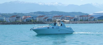 Sea Ray 275 