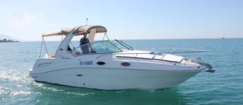 Sea Ray 275 