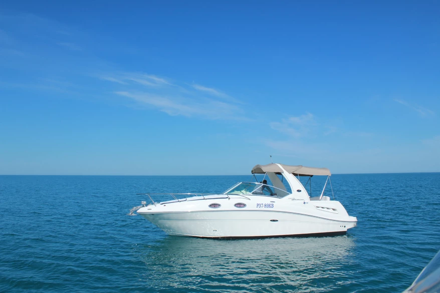 Sea Ray 275 