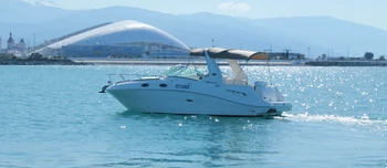 Sea Ray 275 