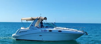 Sea Ray 275 