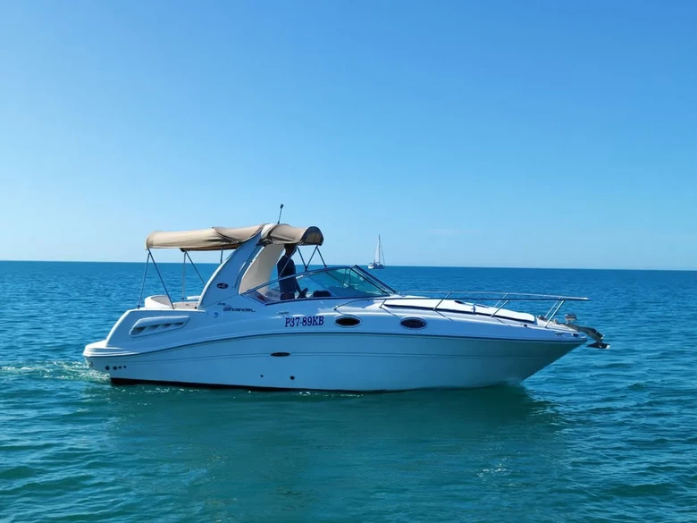 Sea Ray 275 