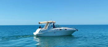 Sea Ray 275 