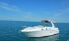 Sea Ray 275 