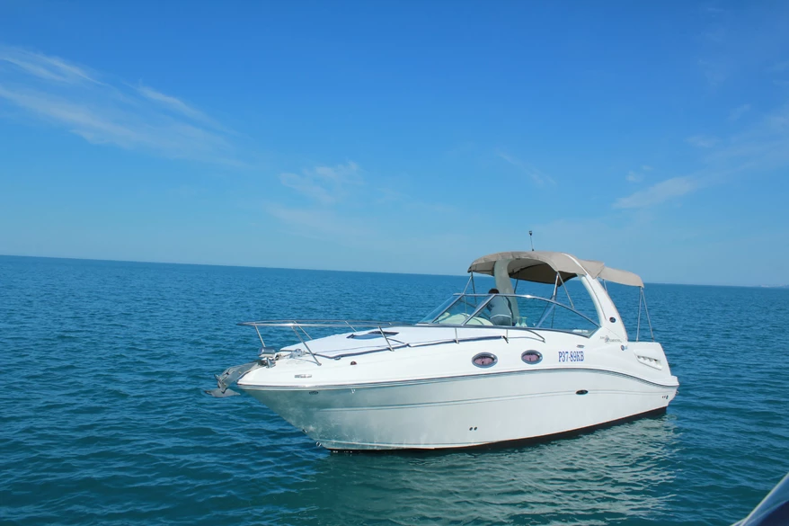 Sea Ray 275 