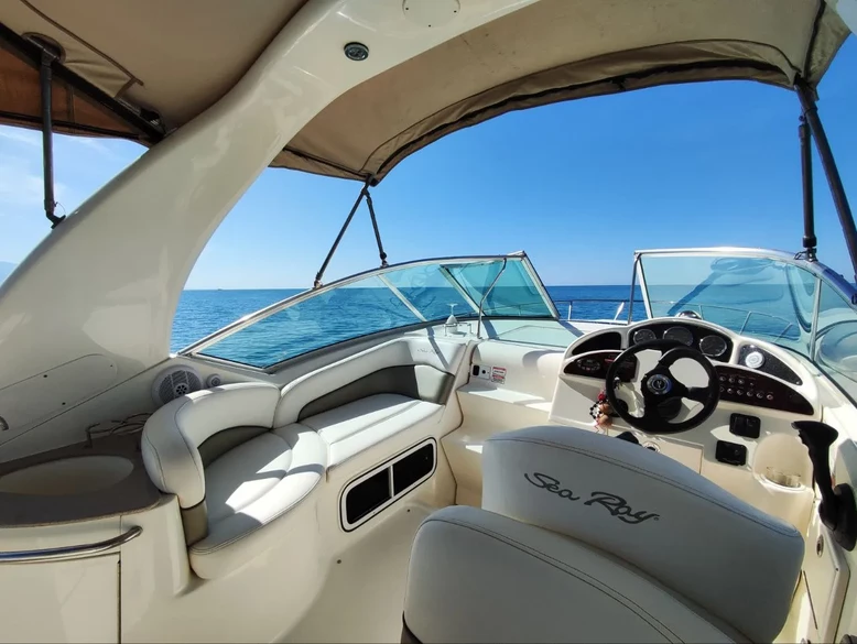 Sea Ray 275 