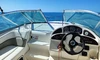 Sea Ray 275 