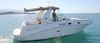 Sea Ray 275 