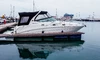 Sea Ray 315