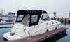 Sea Ray 315