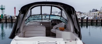 Sea Ray 315