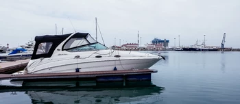 Sea Ray 315